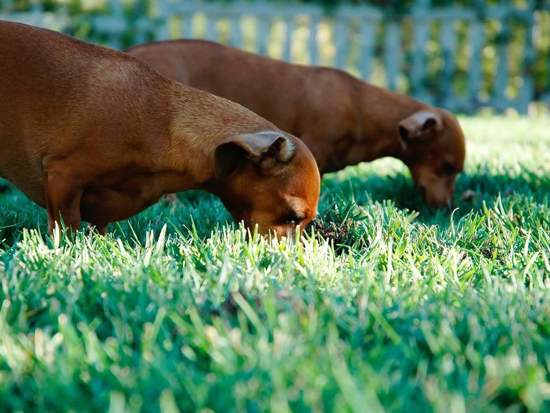 community screenshot 5